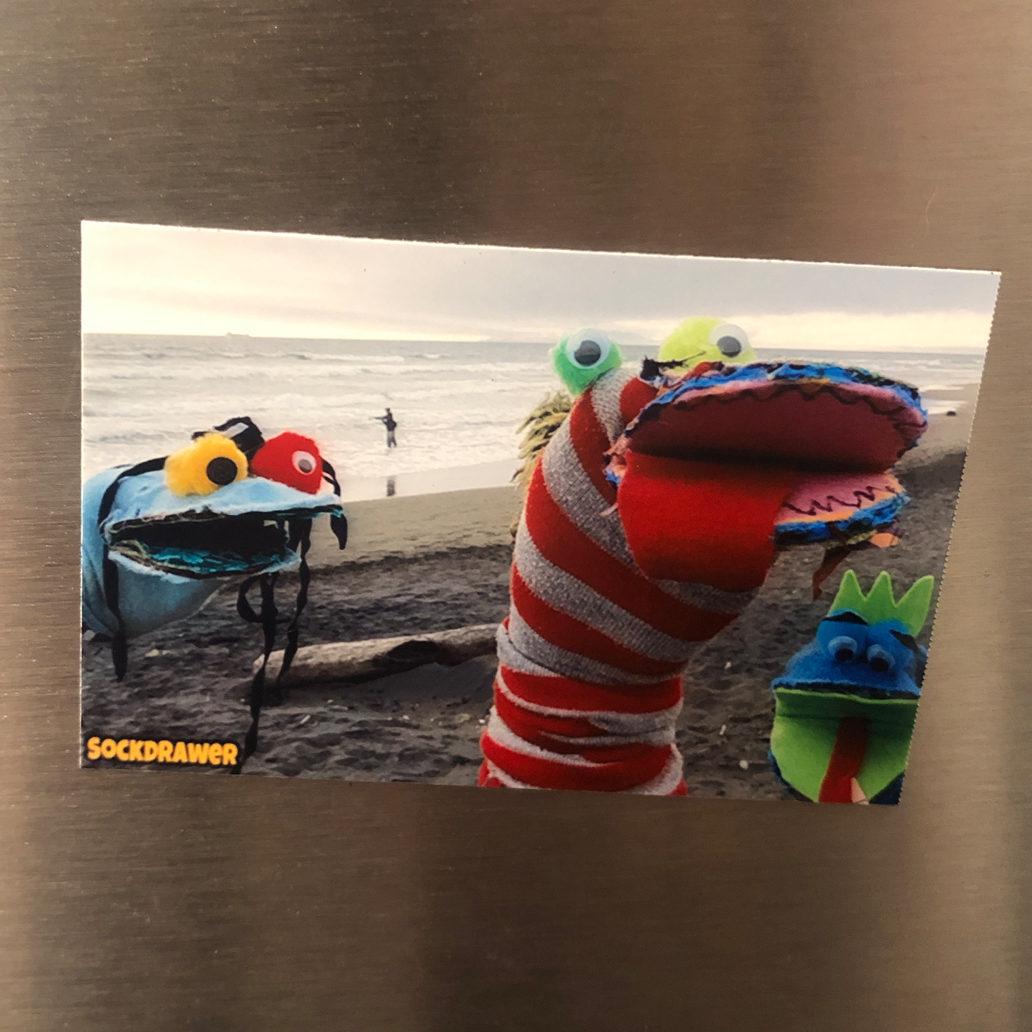 Sock Pals Magnet