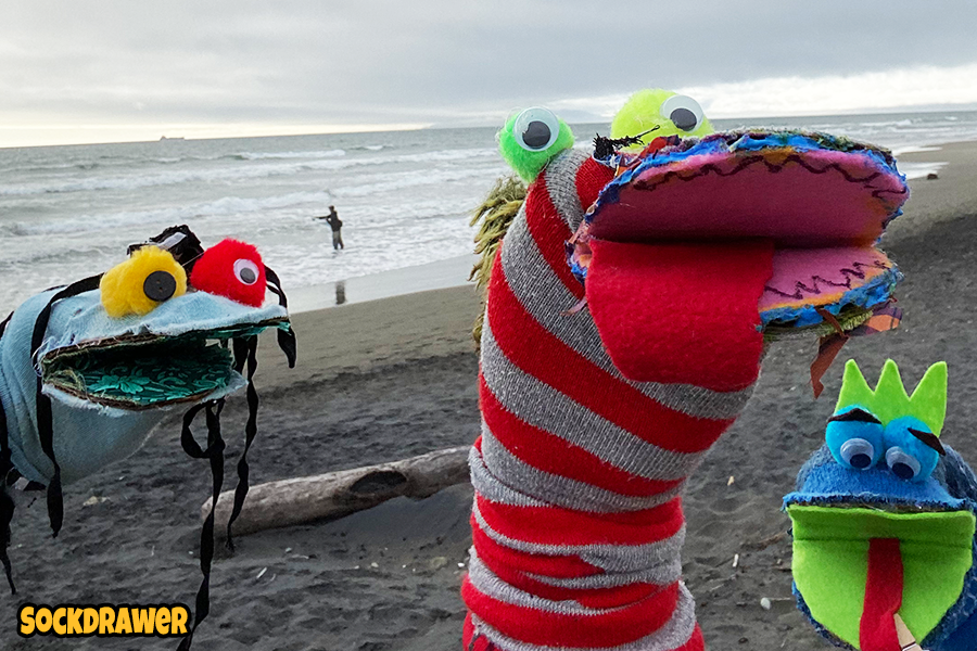 Sock Pals Magnet
