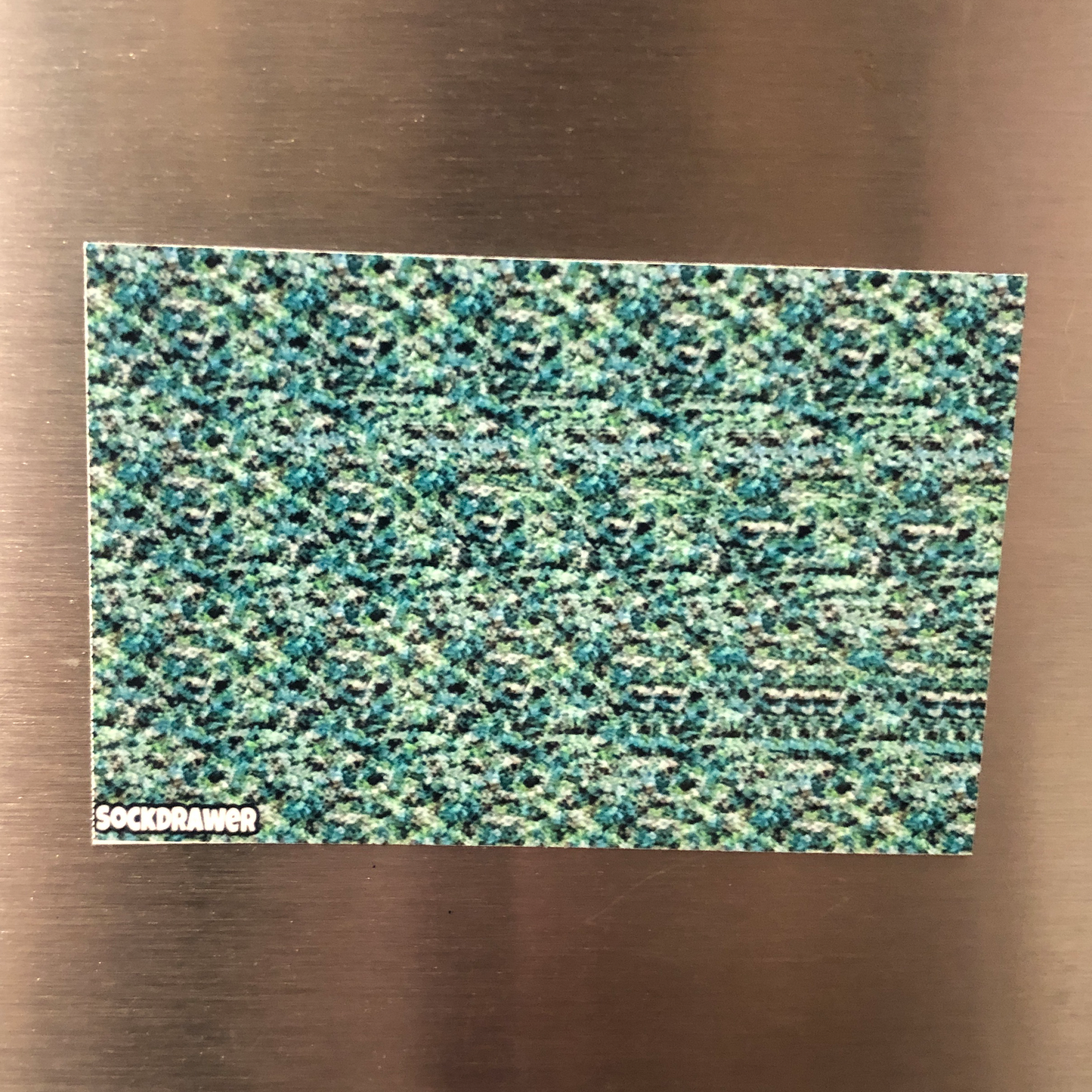 3D Dinosaur Stereogram Magnet