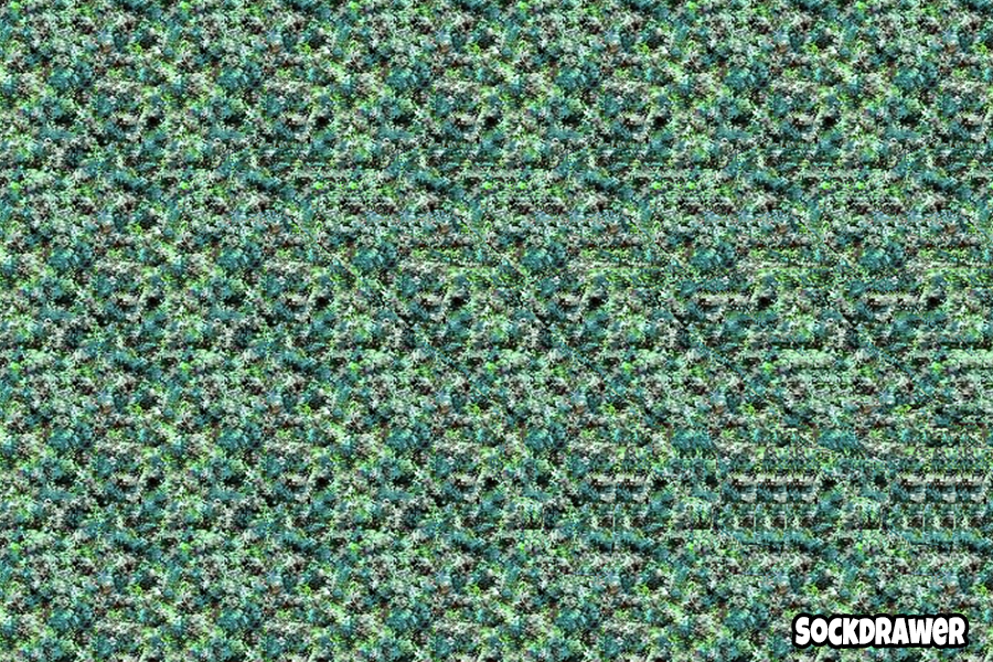 3D Dinosaur Stereogram Magnet