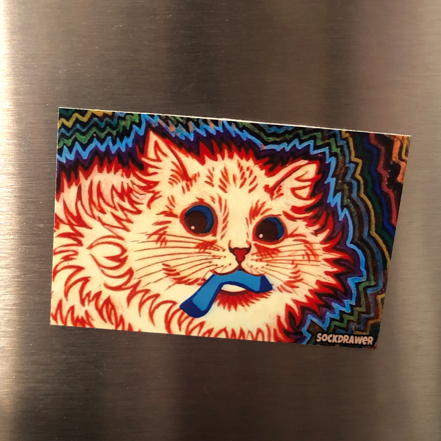 Sockedelic Cat Magnet